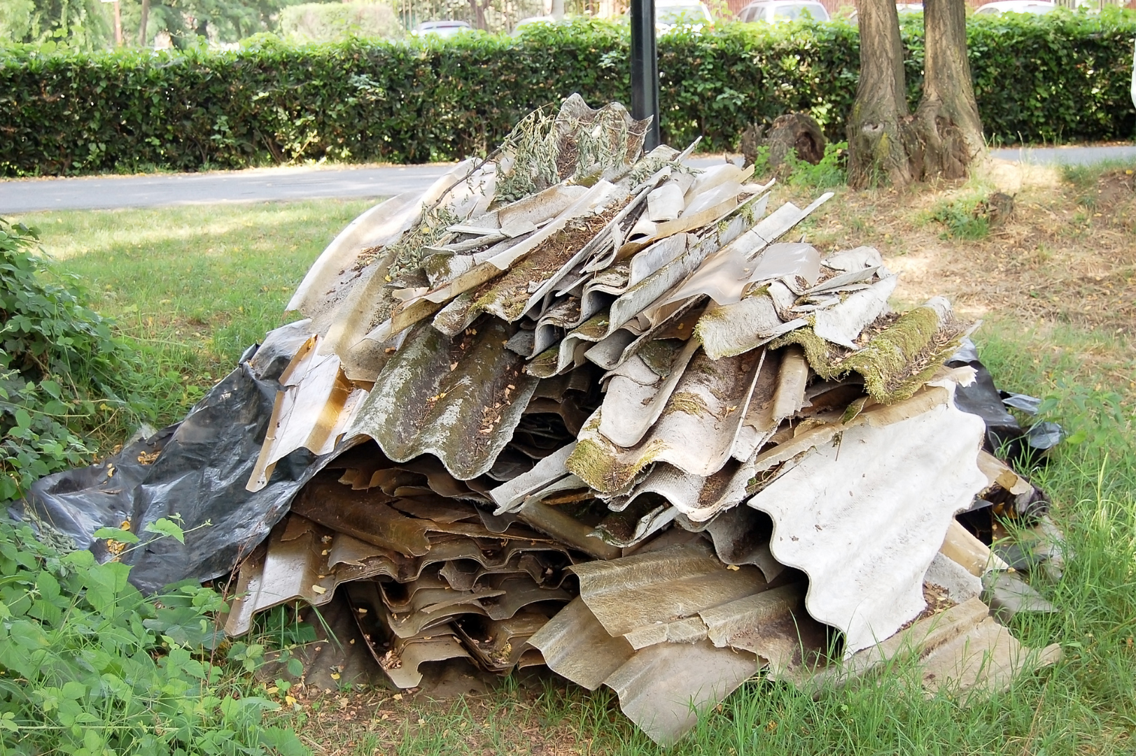 asbestos specialists East Kilbride
